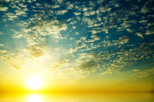 Loses Weight Along with Cravings for Carbs and Sugar