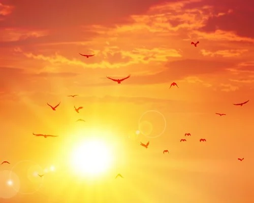 Unbelievable Results with Weight Loss and More