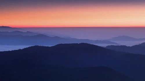 PAIN FREE after Brief Hypnosis Session