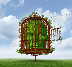 Find Top Hypnotherapists Near Me