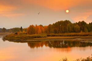 A beautiful dawn scene of a moonlit lake with trees reflecting on the lake's surface.