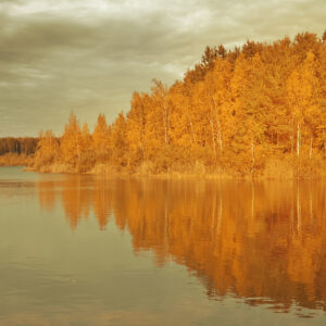 Hypnosis for Stress Relief - From Chaos to Calm