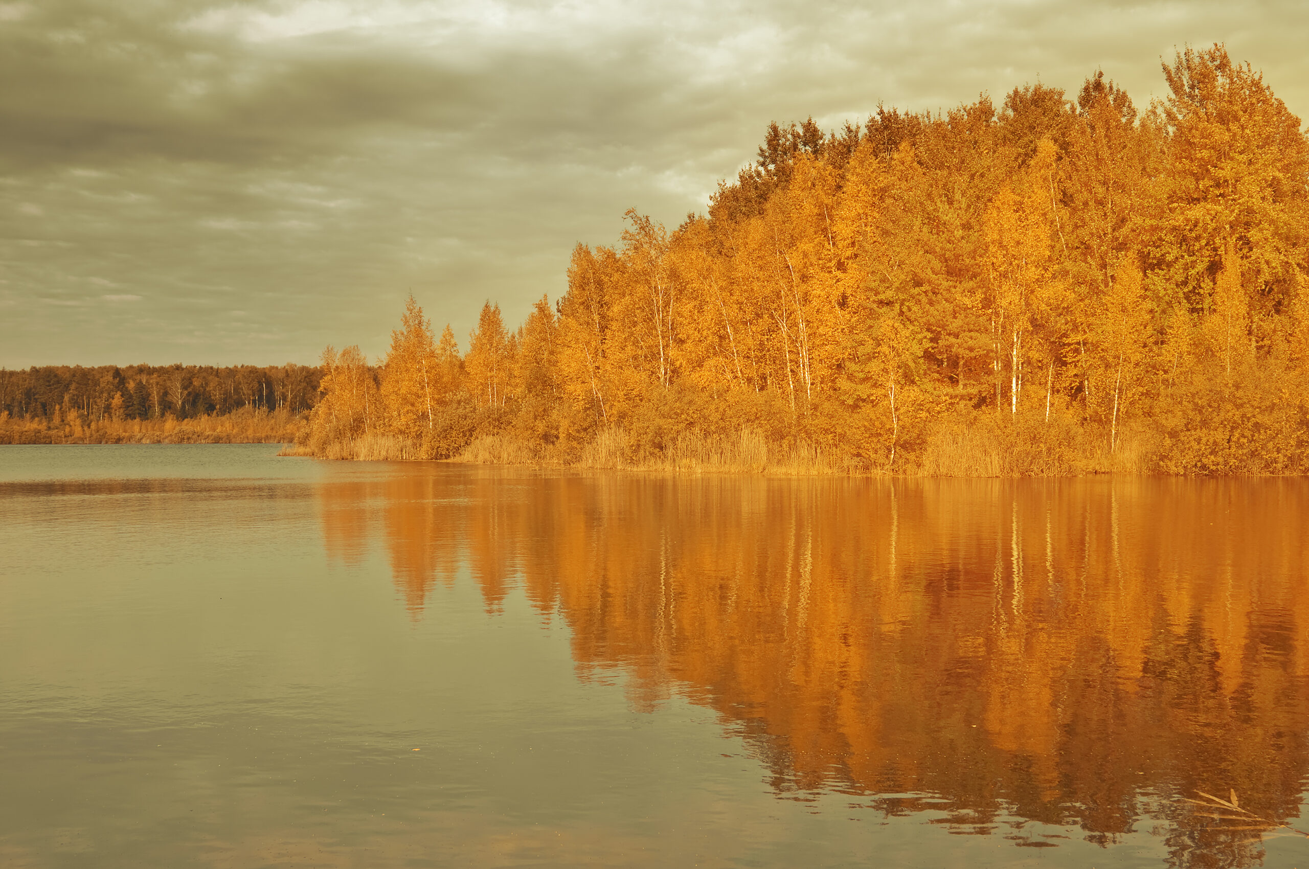 Hypnosis for Stress Relief - From Chaos to Calm