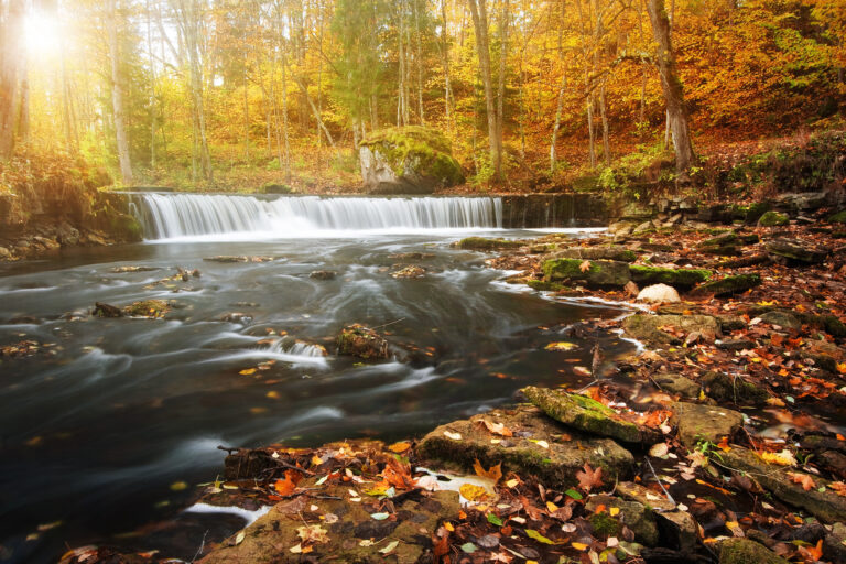 Stress and Anxiety Relief with Hypnosis