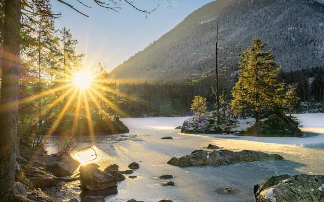 From Insight to Integration: My Journey Through Hypnotherapy with Erika Flint